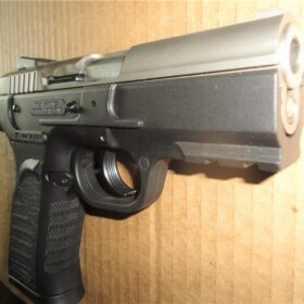 tanfoglio witness